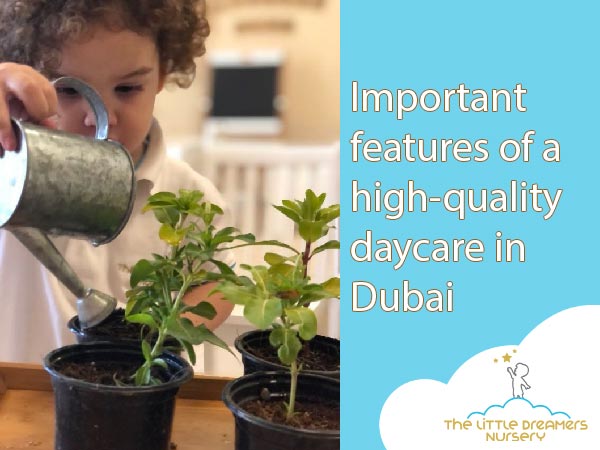9 important features of a high-quality daycare in Dubai