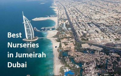 Top 10 Nurseries in Jumeirah: An Ultimate Guide with Parent Reviews